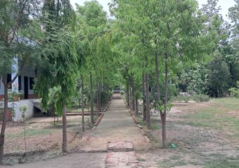 Excited Student in College